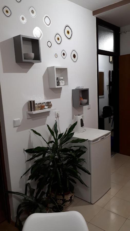 Apartman Panorama Vukovar Εξωτερικό φωτογραφία